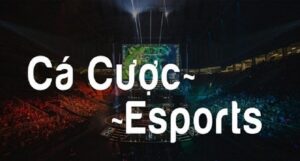 Cá cược esports